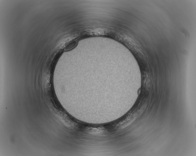 X0000111370548200908071216