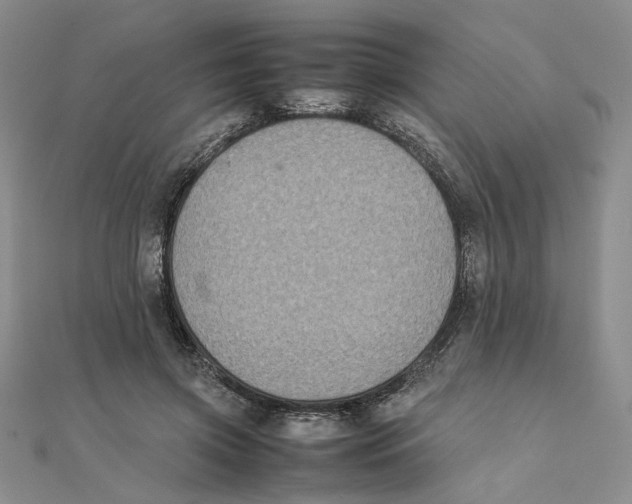 X0000111370549200908071216