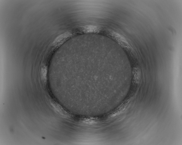 X0000111370550200908071216