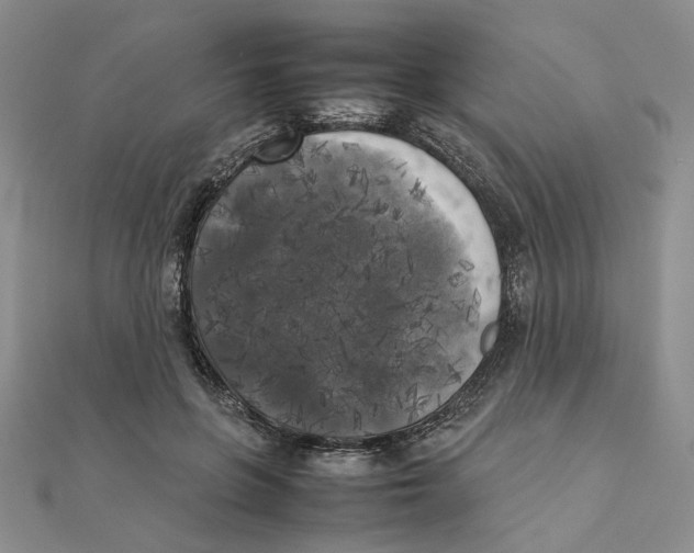 X0000111370551200908071216