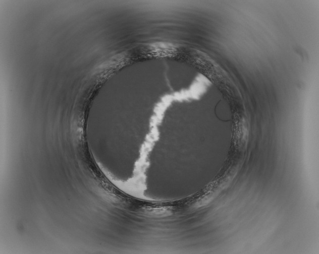 X0000111370553200908071216