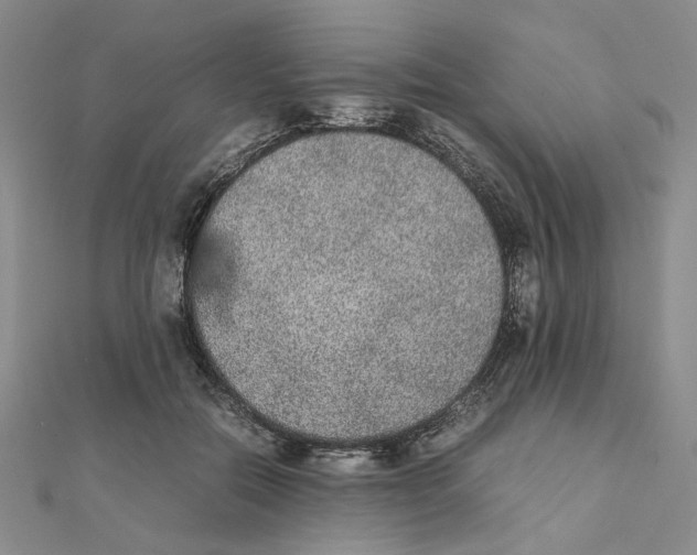 X0000111370554200908071216