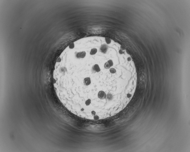 X0000111370555200908071216