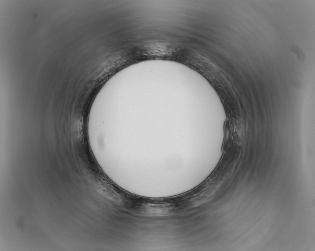 X0000111370556200908071216