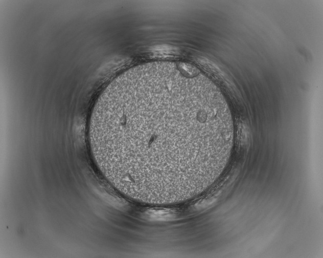 X0000111370557200908071216