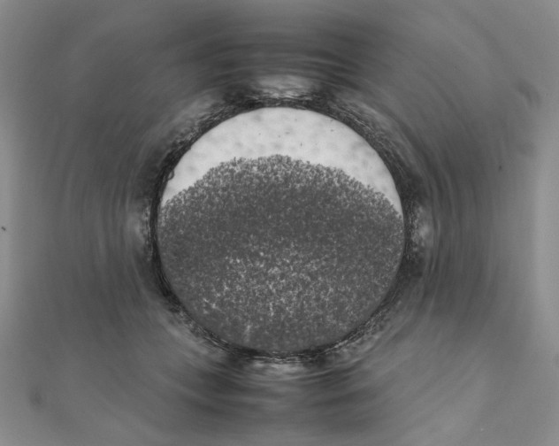 X0000111370559200908071216