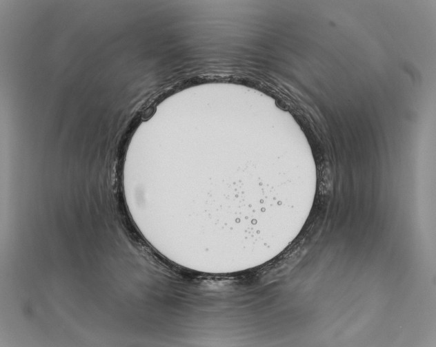 X0000111370560200908071216