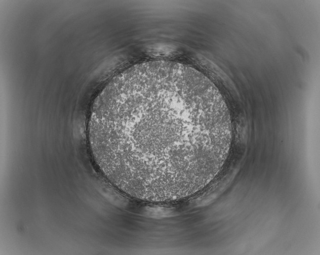 X0000111370561200908071216