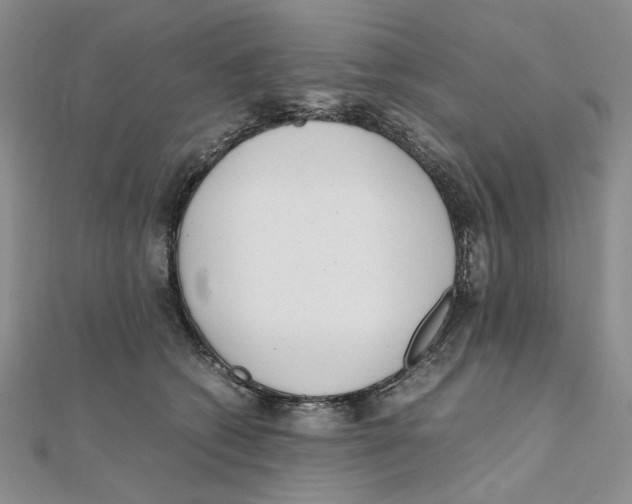 X0000111370562200908071216