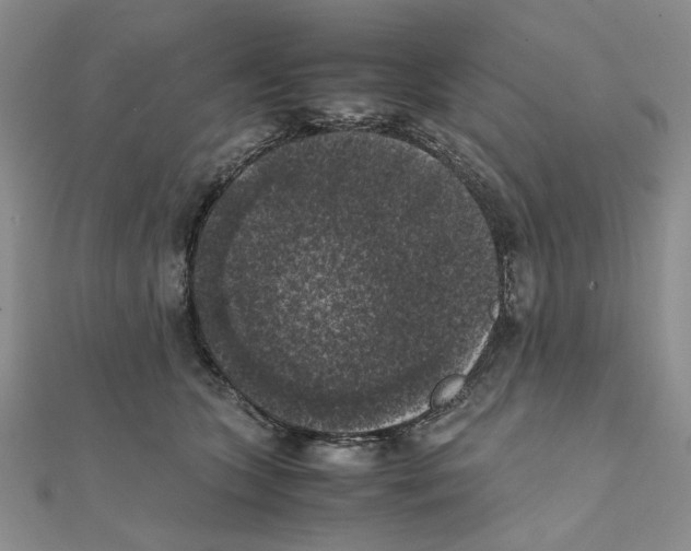 X0000111370563200908071216