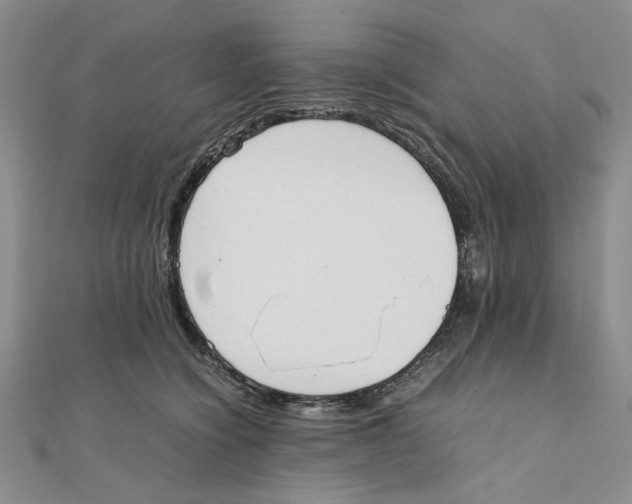 X0000111370564200908071216