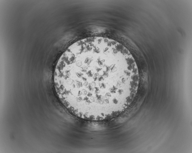X0000111370565200908071216