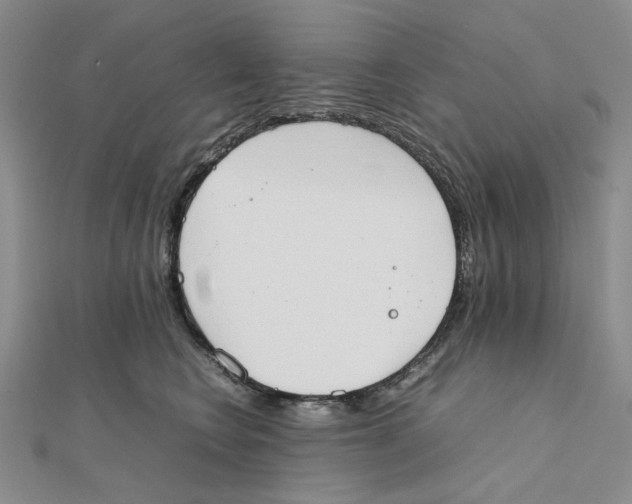 X0000111370566200908071216