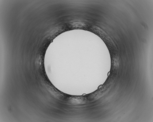 X0000111370567200908071216