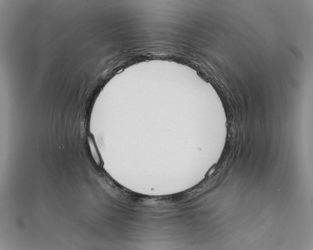 X0000111370568200908071216