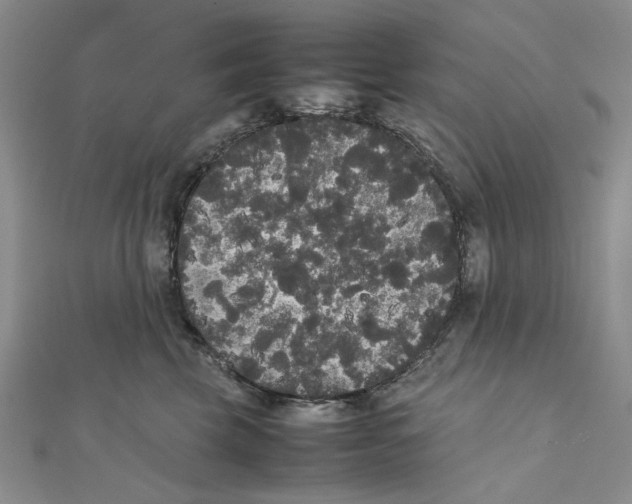 X0000111370569200908071216