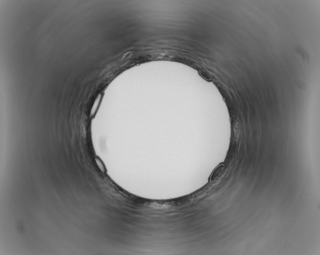 X0000111370570200908071216