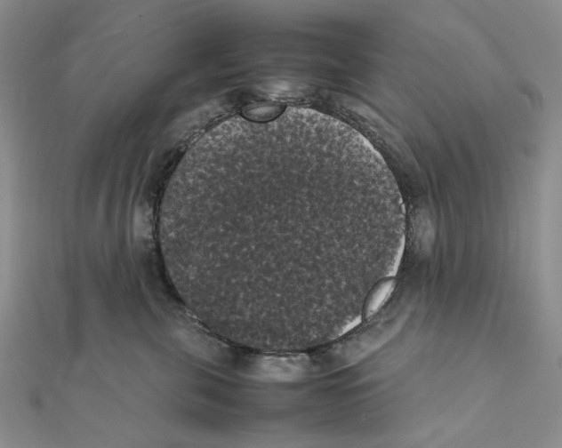 X0000111370571200908071216
