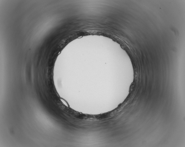 X0000111370572200908071216