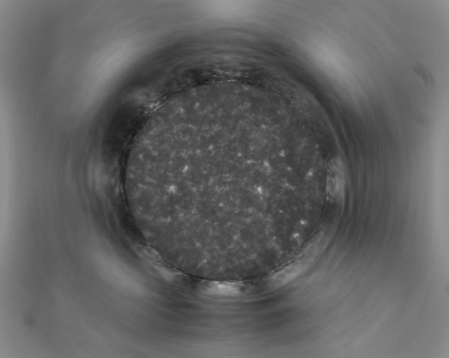 X0000111370573200908071216