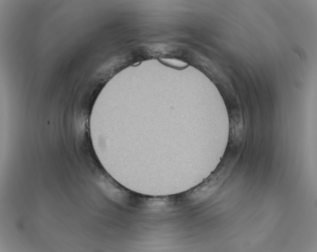 X0000111370574200908071216