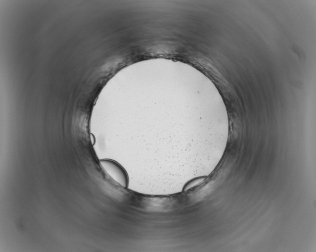 X0000111370575200908071216