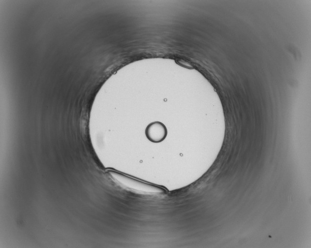 X0000111370576200908071216