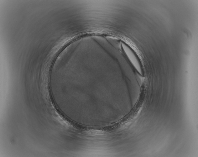 X0000111370577200908071216