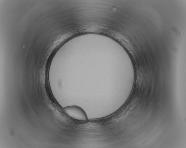 X0000111370578200908071216