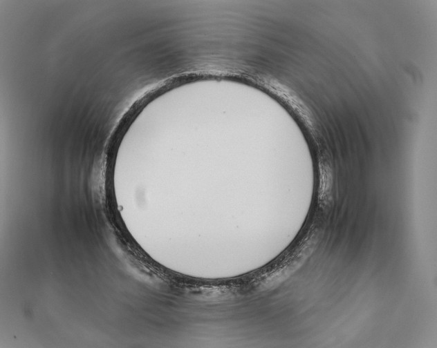 X0000111370580200908071216