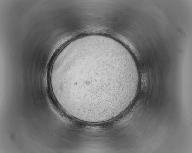 X0000111370582200908071216