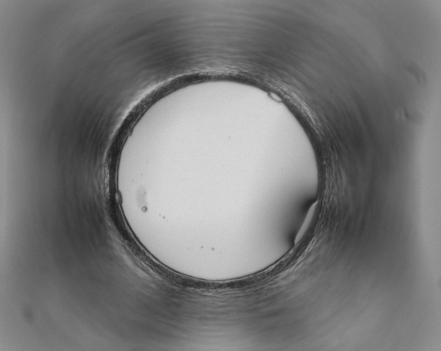X0000111370584200908071216