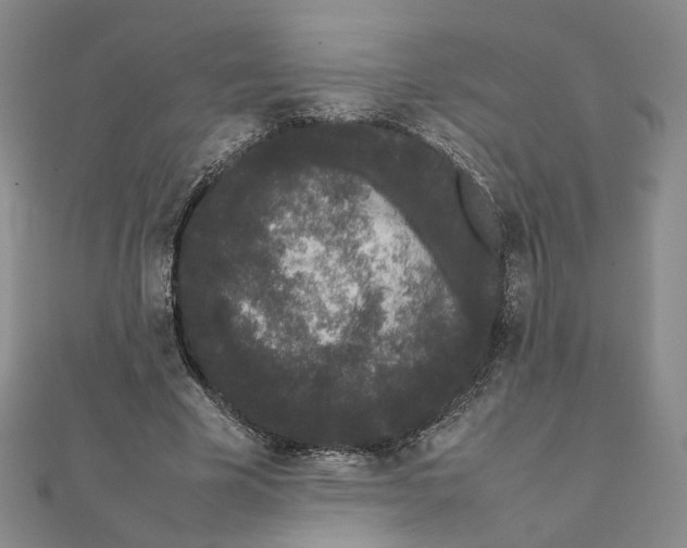 X0000111370585200908071216