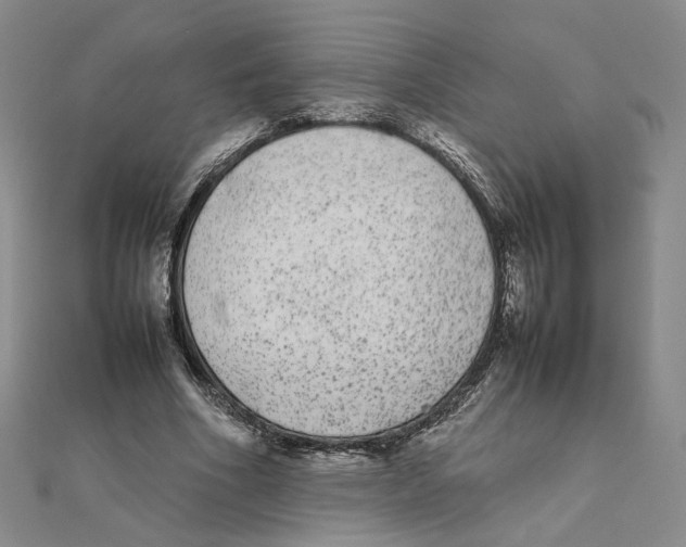 X0000111370586200908071216