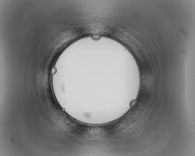 X0000111370587200908071216