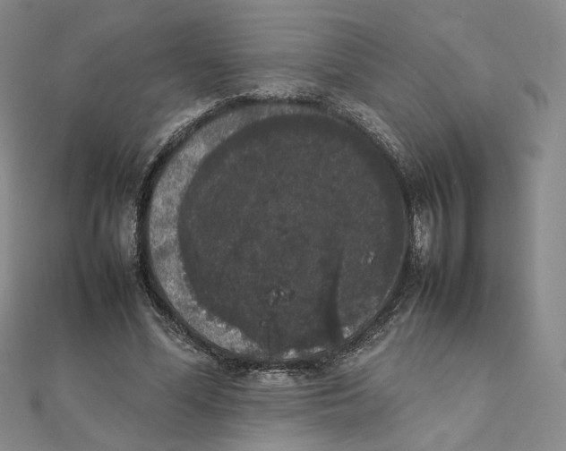 X0000111370588200908071216