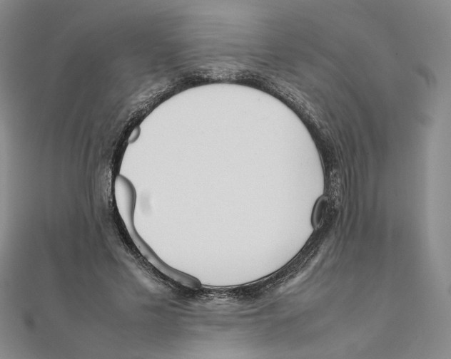 X0000111370589200908071216