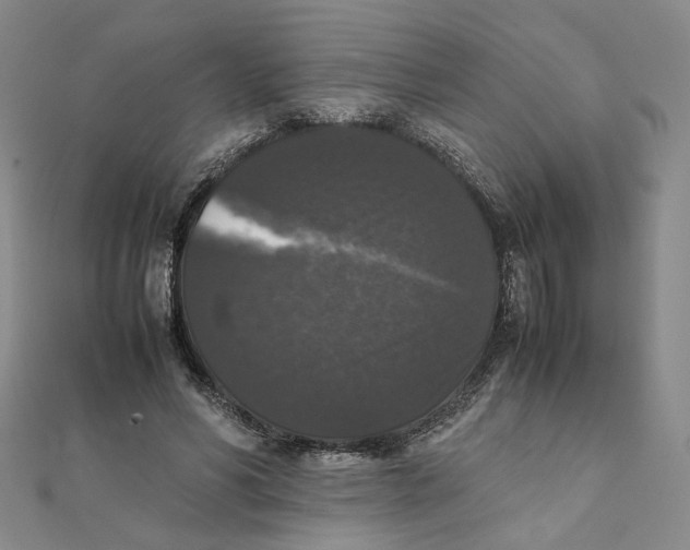 X0000111370590200908071216
