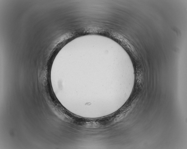 X0000111370591200908071216