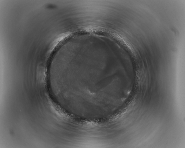 X0000111370592200908071216