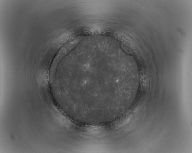 X0000111370593200908071216