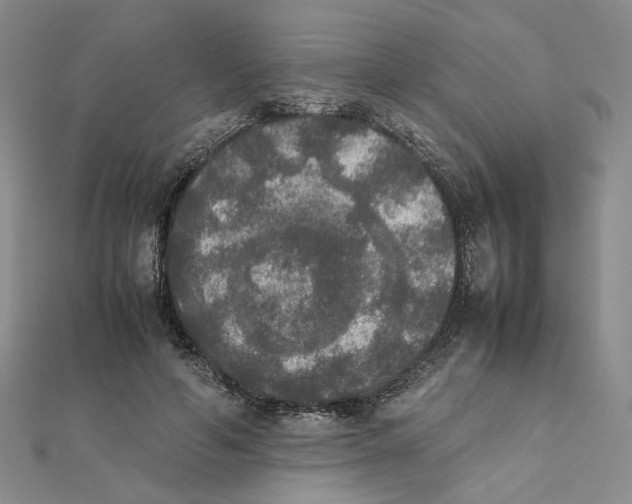 X0000111370594200908071216