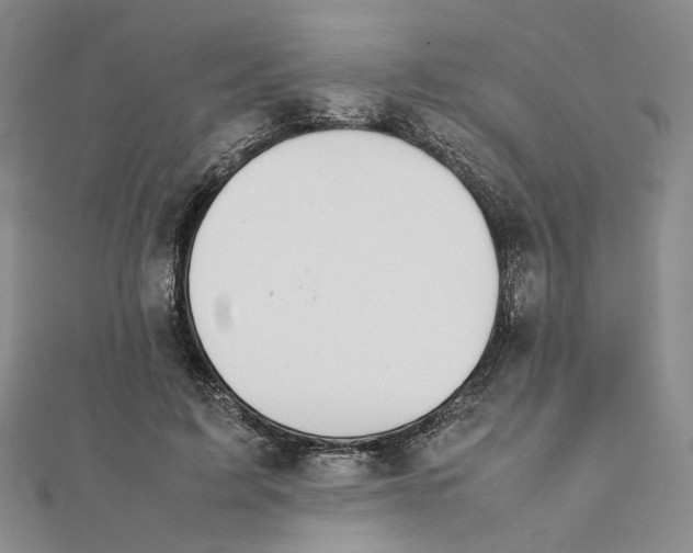 X0000111370595200908071216