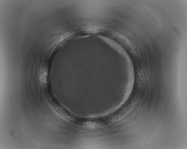 X0000111370596200908071216