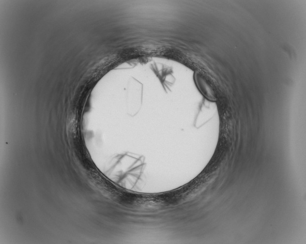 X0000111370597200908071216