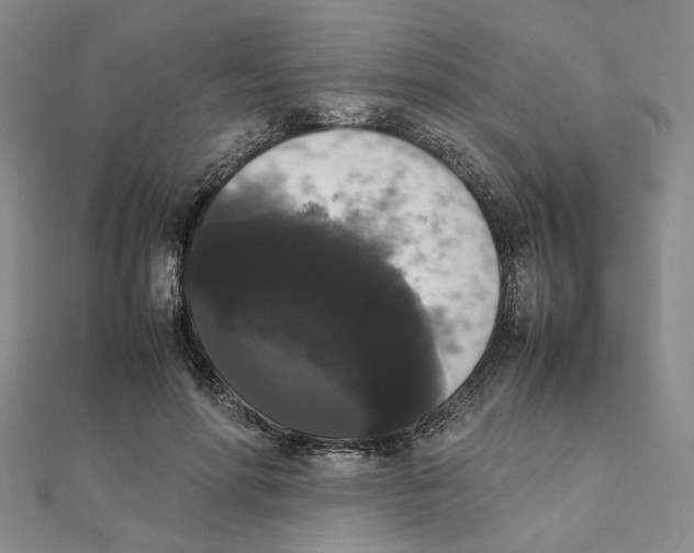 X0000111370598200908071216