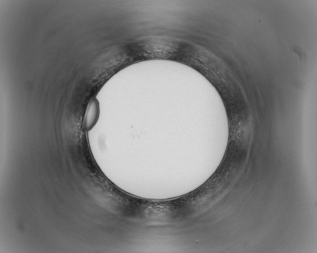 X0000111370599200908071216