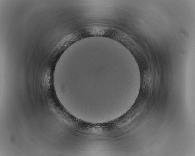 X0000111370600200908071216