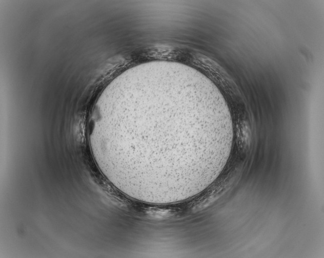 X0000111370602200908071215