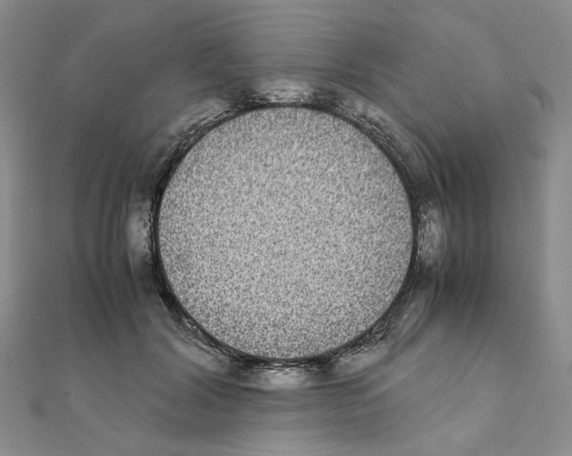 X0000111370604200908071215